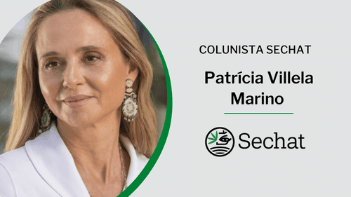 Homeschooling às pressas, prioridades às avessas