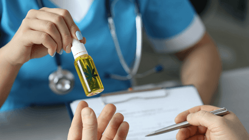 Cannabis Medicinal: para que serve e como pode ajudar