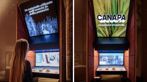 Cânhamo industrial é destaque brasileiro na Bienal de Arquitetura de Veneza