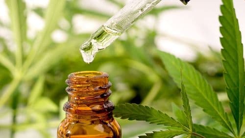 Setor agrícola impulsiona crescimento da economia colombiana no último trimestre de 2024. Como isso pode beneficiar a indústria da cannabis?