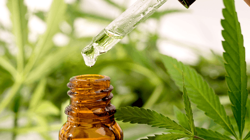 O papel da cannabis no tratamento de doenças crônicas