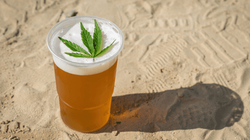 Imagem da noticia: Canopy Growth, líder mundial em cannabis, lança novos sabores de bebidas e amplia portfólio