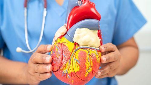 Cannabis e riscos cardiovasculares: nova pesquisa alerta para efeitos adversos