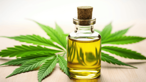 Canabidiol pode inibir câncer do ducto biliar, aponta estudo tailandês