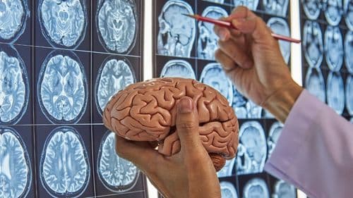 Psicodélicos reduzem neuroinflamação e mostram potencial terapêutico, segundo pesquisadores brasileiros