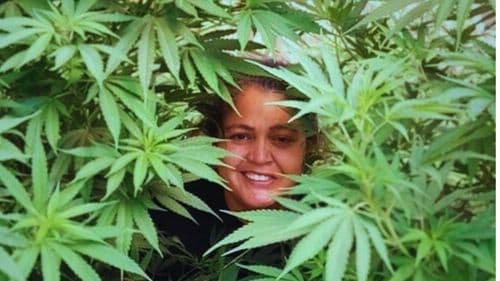 Entre a justiça e a prisão: quando o tratamento com cannabis se torna um crime