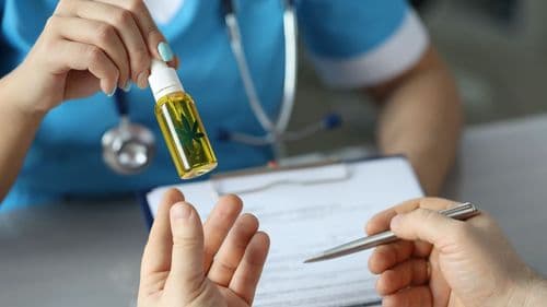 Brasil alcança 672 mil pacientes de cannabis medicinal: benefícios atraem cada vez mais adeptos