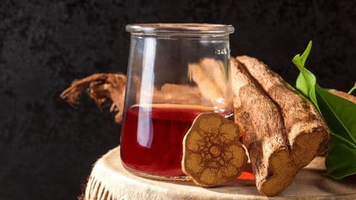 Ayahuasca: Anvisa determina suspensão e recolhimento de medicamentos por irregularidades