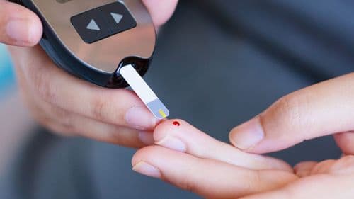 Saiba o potencial do canabidiol (CBD) no controle do diabetes