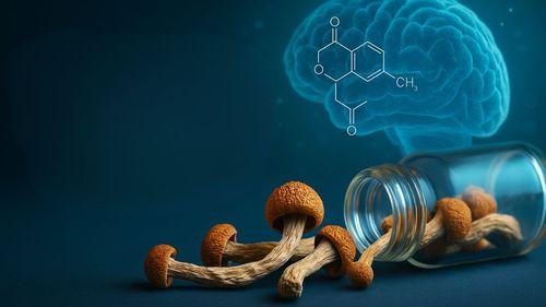 Germany creates the first compassionate access program to psilocybin in the European Union