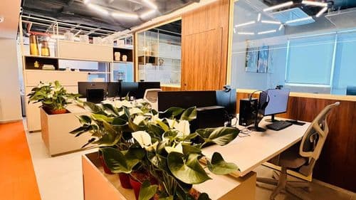 USA Hemp Pharmaceuticals inaugura sede na América Latina em Goiânia com foco em inovação, educação e expansão estratégica