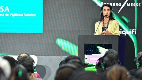 We Need to Talk About Cannabis debate regulação e produção de cannabis medicinal no Brasil