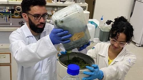 Imagem da noticia: UnB e associação firmam parceria para avançar na pesquisa com cannabis medicinal