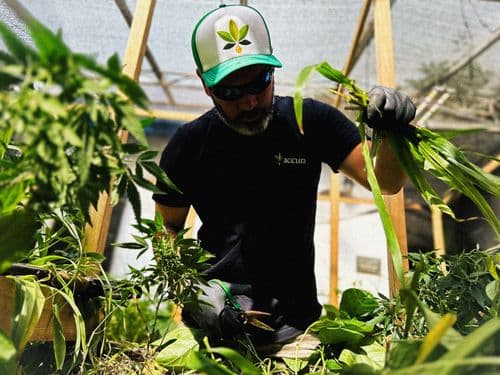 Associação vence ação contra o Facebook e recupera perfil com mais de 22 mil seguidores