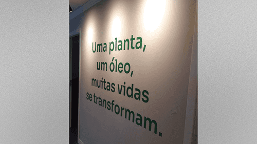 Florianópolis dá um passo adiante: nasce o primeiro cultivo orgânico de cannabis medicinal da cidade