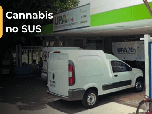 Judicialização obriga município de MG a fornecer medicamento à base de Cannabis