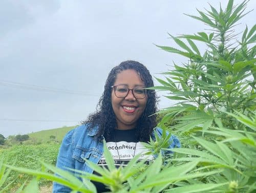 Justiça autoriza associação a produzir e cultivar cannabis