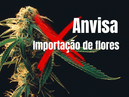 Justiça determina e Anvisa tem prazo para liberar entrada de flores de cannabis no Brasil