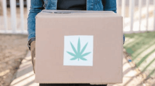 Legalização da cannabis pode fortalecer a economia, diz estudo