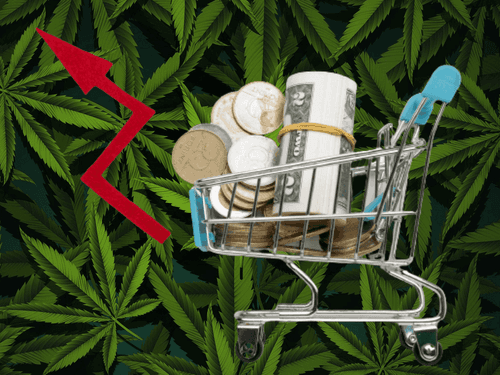 Legalização federal da cannabis nos EUA: protegendo pequenos empresários da ameaça de monopólio