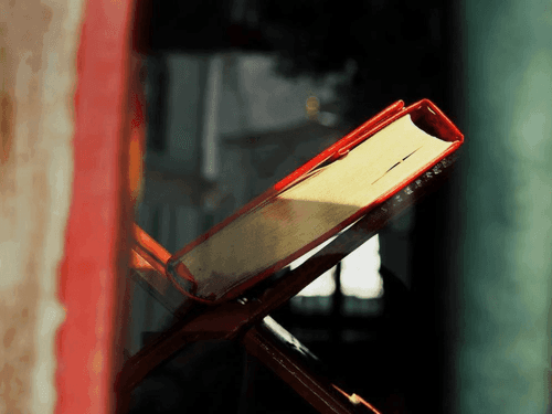 Livro revela por que a cannabis é proibida e como exercer direitos individuais