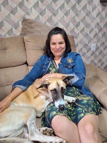 Cadela com doença autoimune é tratada na UFSC com óleo de cannabis