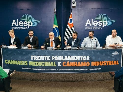 “Maior movimento democrático do Brasil desde a democratização”, diz Patrícia Villela sobre a cannabis