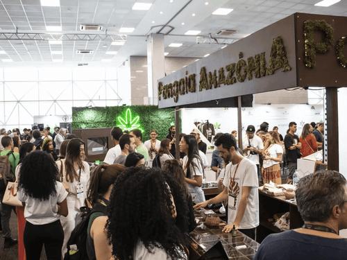 Medical Cannabis Fair 2024: desvendando as inovações da cannabis medicinal e industrial