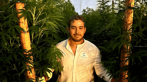 Medicamento con mayor concentración de THC de Carmen’s Medicinals estará disponible el próximo mes