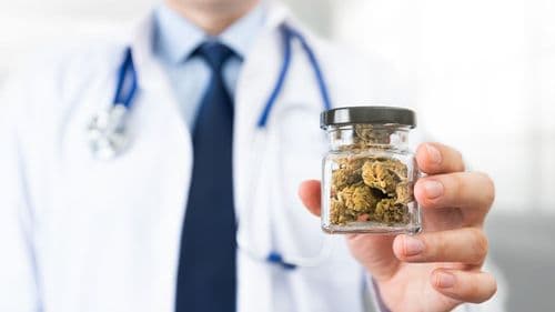 Imagem da noticia: Granada aprova descriminalização da cannabis para uso adulto e prevê indústria medicinal