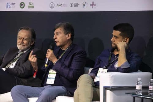 Médico esclarece polêmica sobre uso adulto da cannabis