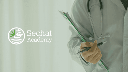 Médicos prescritores de cannabis: a importância da capacitação