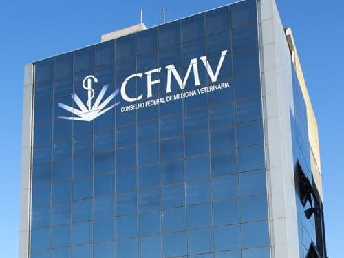 Médicos veterinários lutam para incluir produtos de cannabis na terapia animal