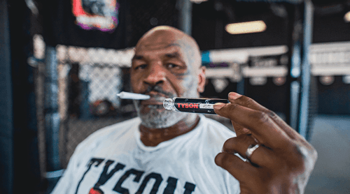 Mike Tyson amplia sua marca de cannabis nos EUA