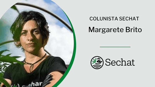 Mulheres, o ecossistema da cannabis e a urgência da luta feminista