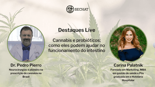 “Na faculdade de medicina não ensinam sobre probióticos ou cannabis”, revela Dr. Pedro Pierro em live com Carina Palatnik
