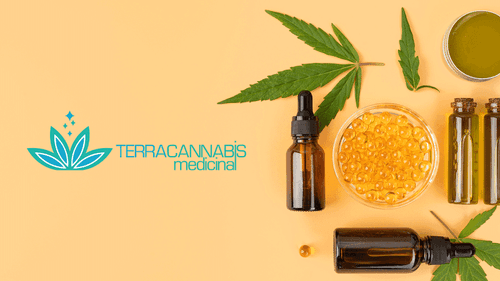 “Nossa missão é trazer a maior variedade possível de produtos de cannabis para o Brasil”, revela Rodolfo Rosato, fundador da TerraCannabis