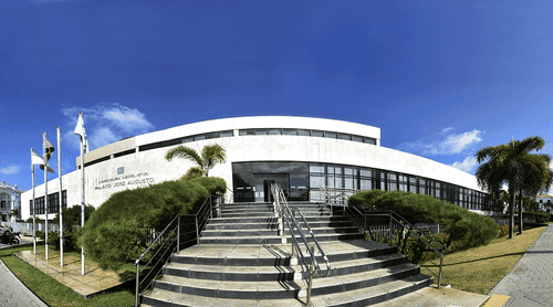 Nova lei garante uso medicinal, industrial e científico da cannabis no RN