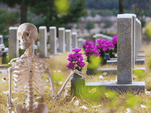 O estigma da cannabis; o que ossos do século XVII podem revelar