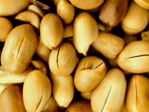 Chronic inflammatory process and the use of PEA trigger inflammation in the body