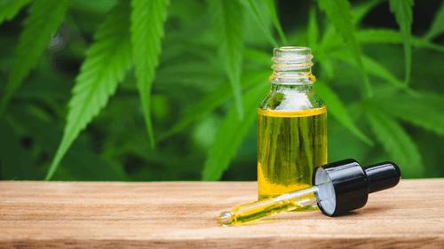 O drama de pacientes que dependem da Justiça para acessar cannabis no ES