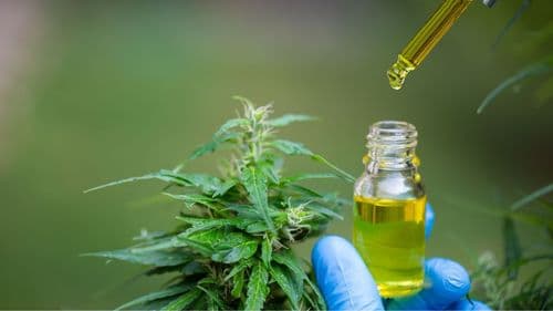 Imagem da noticia: “Momento especial para o setor”: Executivo projeta avanços com revisão da Anvisa