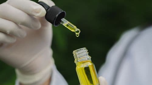 Imagem da noticia: Justiça da Itália suspende decreto que restringia venda de CBD e classifica substância como medicamento