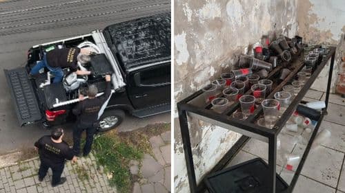 Asociación de Río Grande do Sul que atiende a cerca de mil pacientes es objeto de operación policial en la mañana del viernes (31)