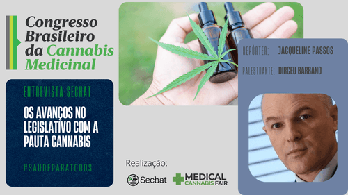 Os avanços da pauta da cannabis no legislativo com o ex-diretor presidente da Anvisa, Dirceu Barbano