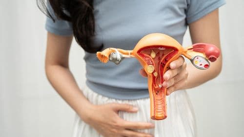 Imagem da noticia: Estudo comprova eficácia da combinação de cannabis contra o câncer de ovário