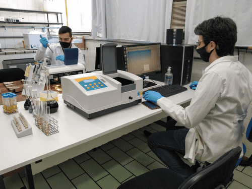 Pesquisa em plantas terapêuticas e cannabis medicinal na UFSM