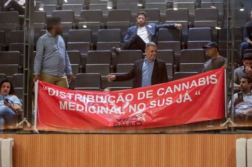 Lei de distribuição de cannabis pelo SUS entra em Vigor neste sábado (05), em Pernambuco