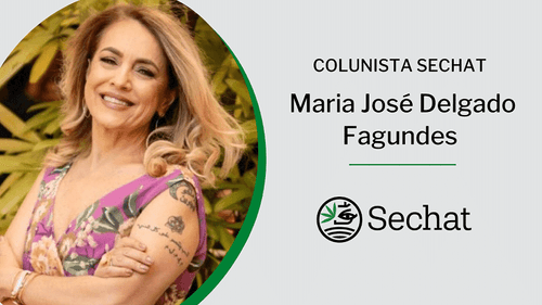 Por que evidências da vida real é aceno da ciência para cannabis de uso medicinal