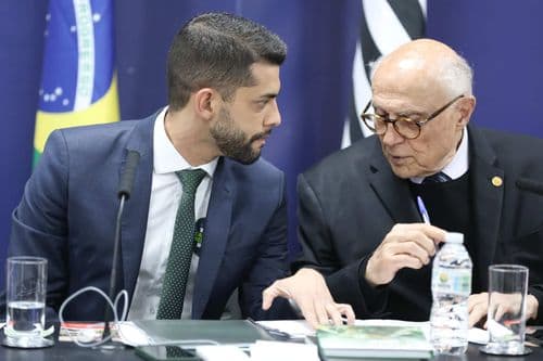 Por que o debate da cannabis medicinal avança na Alesp